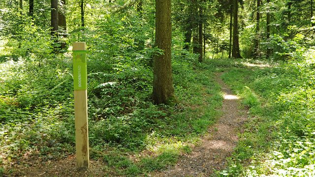 Amt für Umweltschutz – Bodenpfad Steinhauserwald